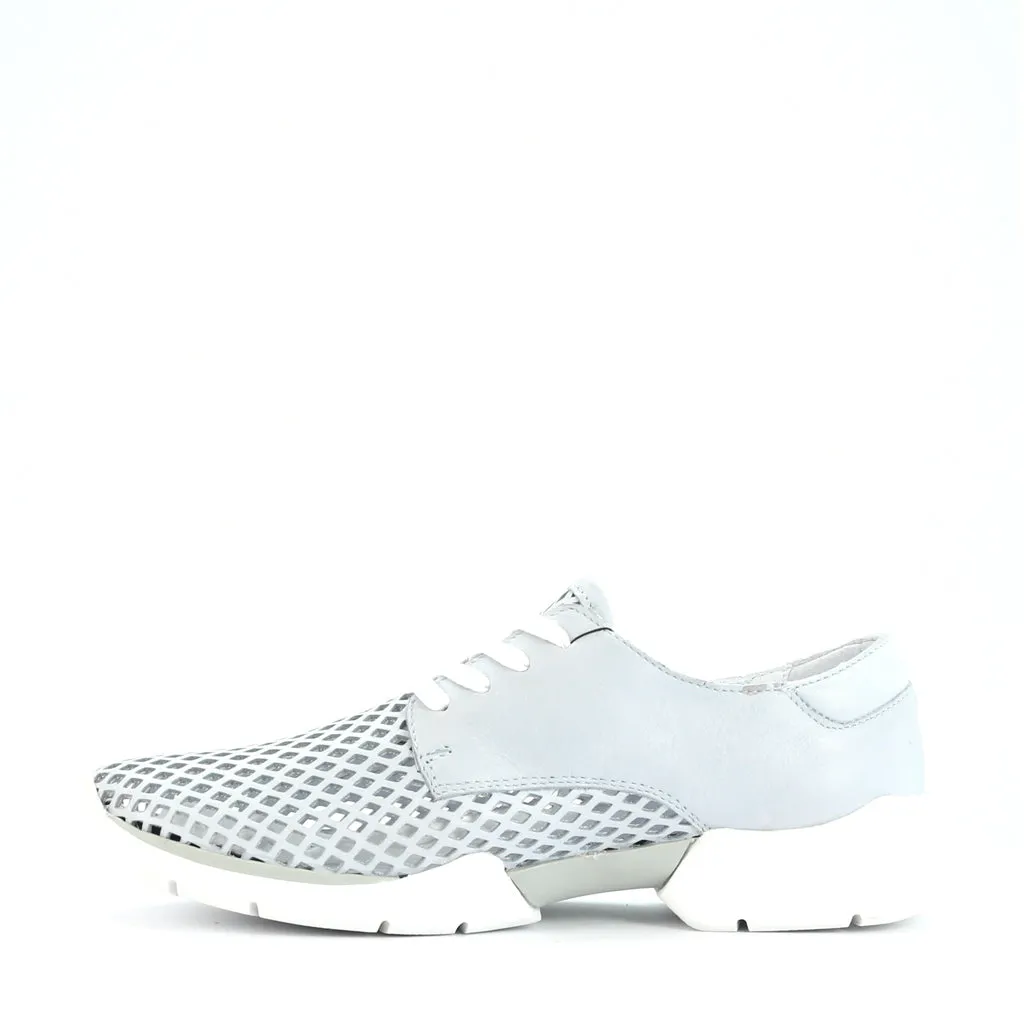 Stylish Xana Perforated Genuine Leather Sneakers for Women