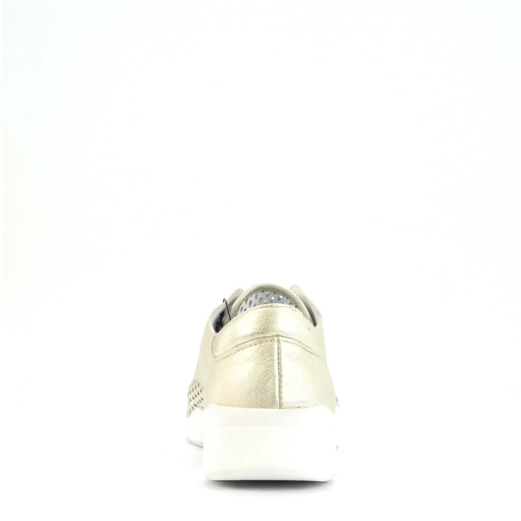 Stylish Xana Perforated Genuine Leather Sneakers for Women